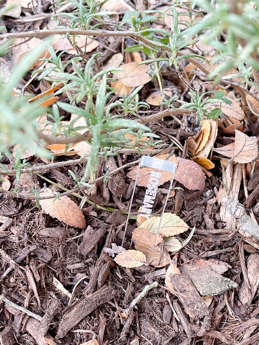 Plant Labels
