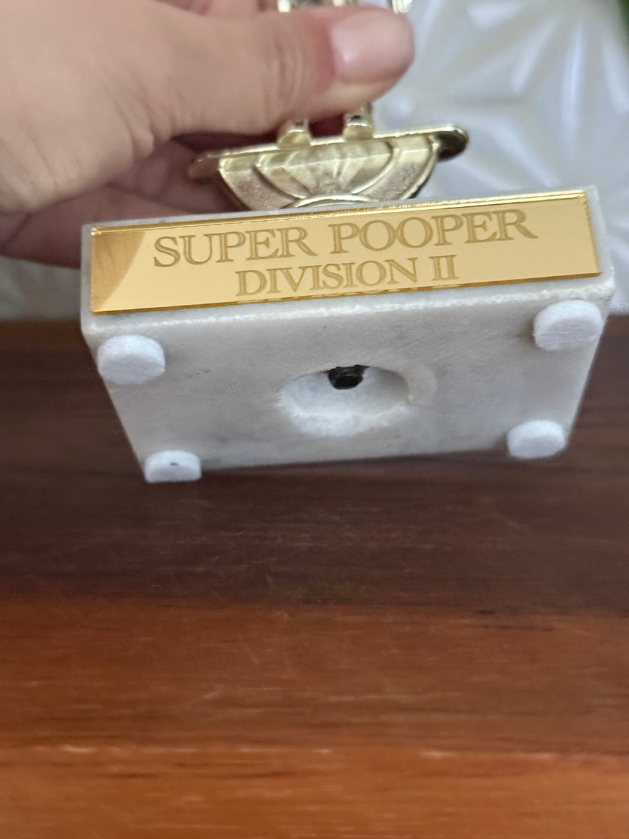 Repurposed Vintage Trophies