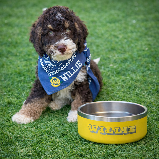 Personalized Pet Bowl