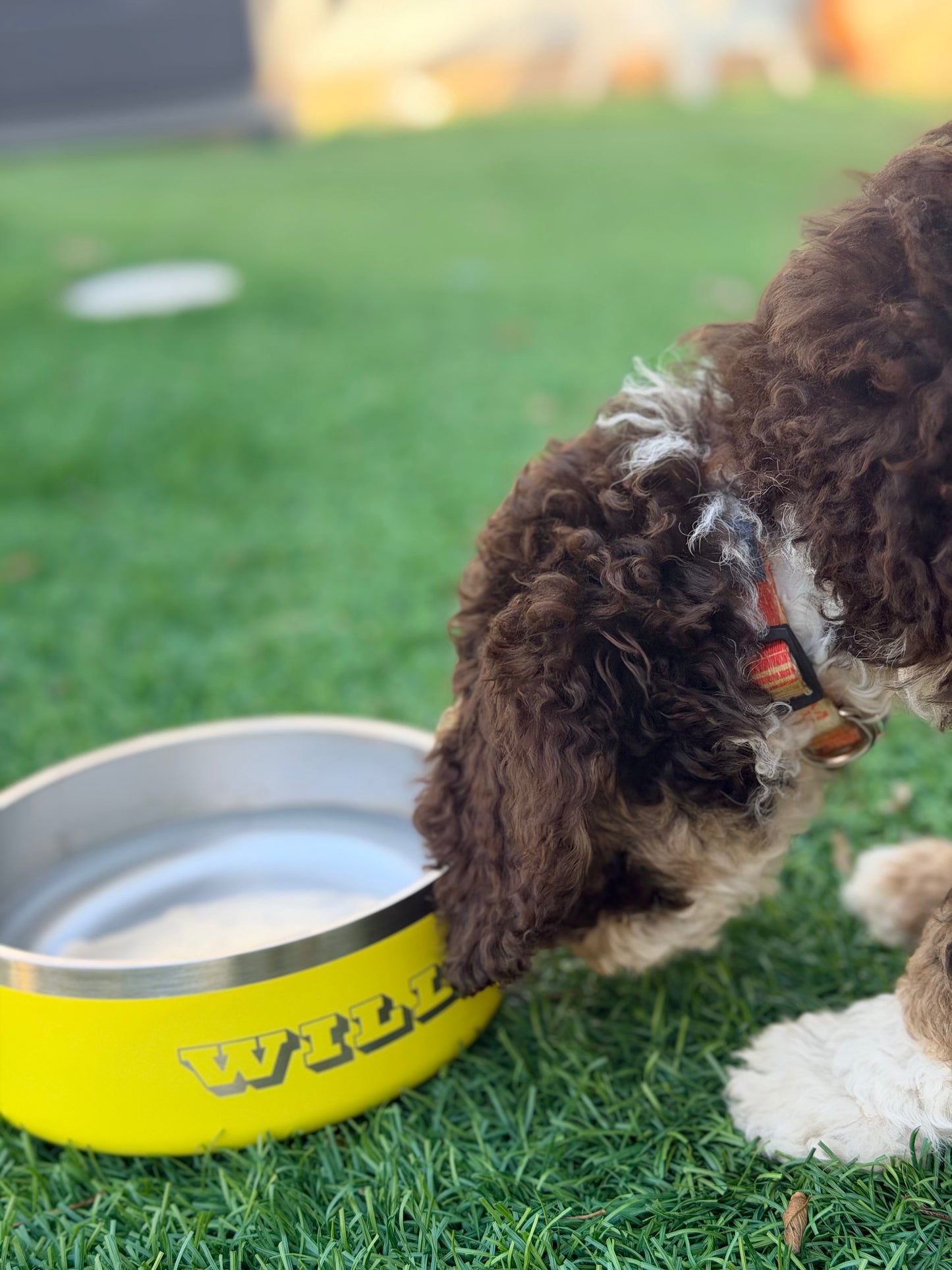 Personalized Pet Bowl