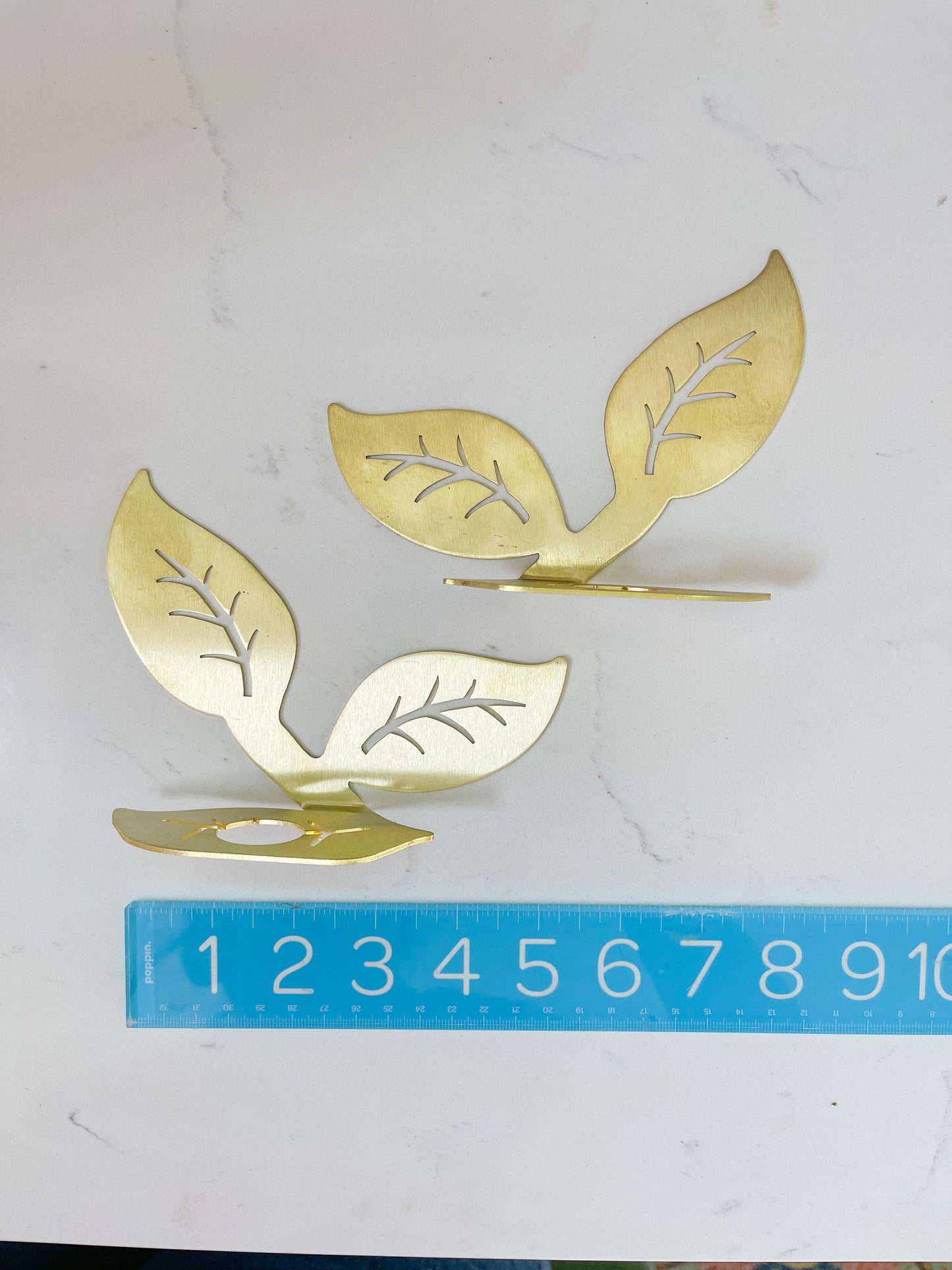 Plant Propagation Brass Leaf