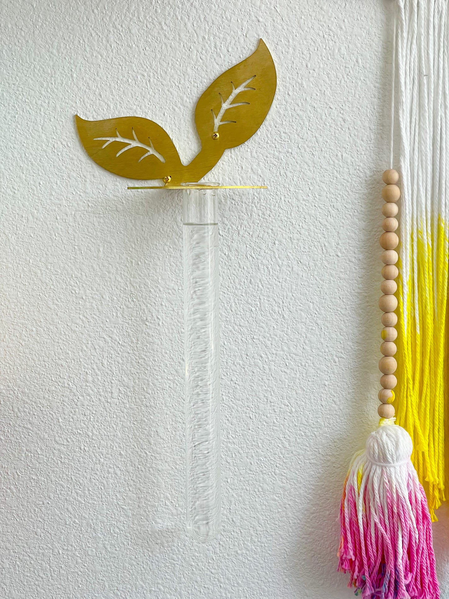 Plant Propagation Brass Leaf