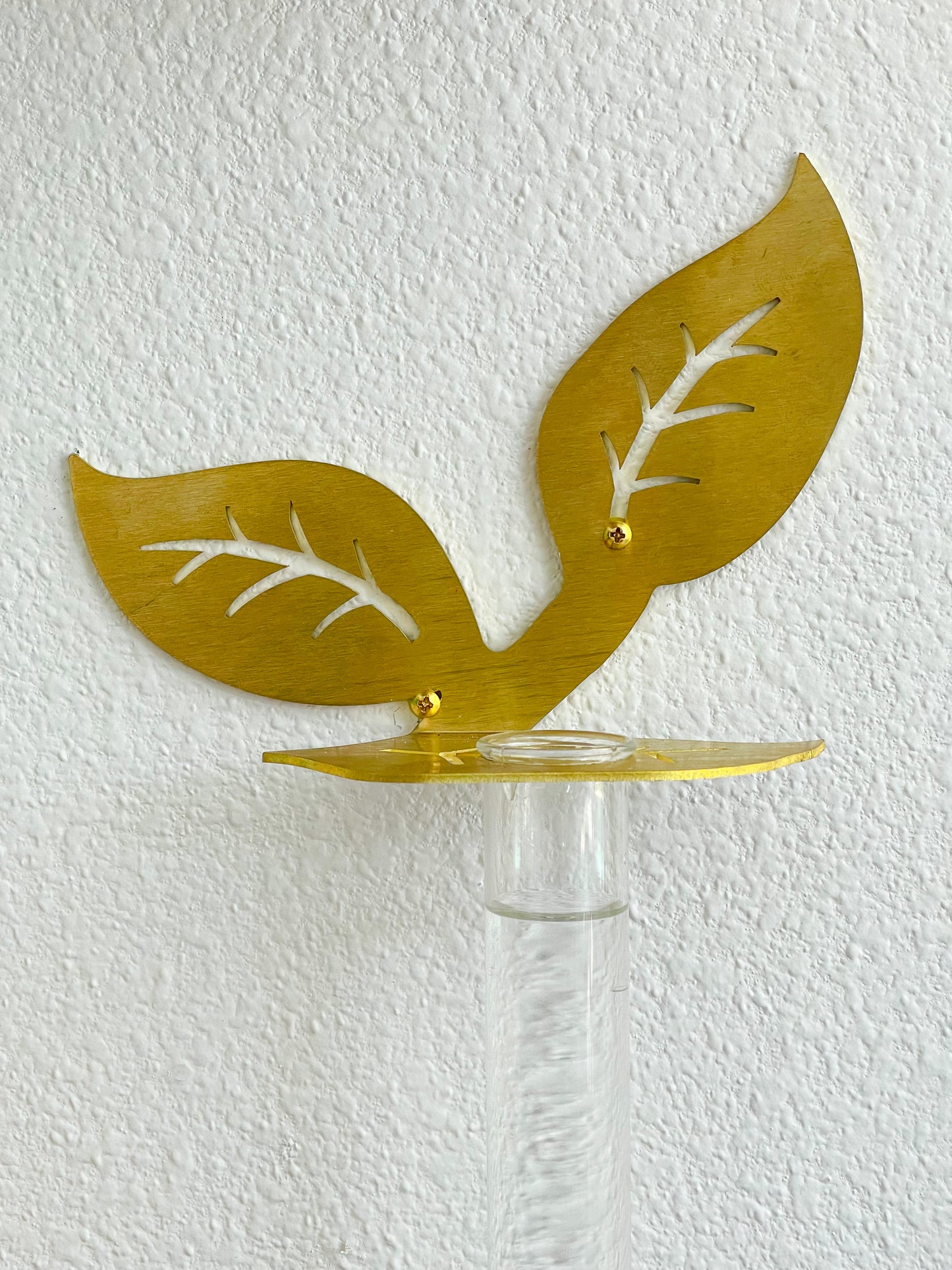 Plant Propagation Brass Leaf