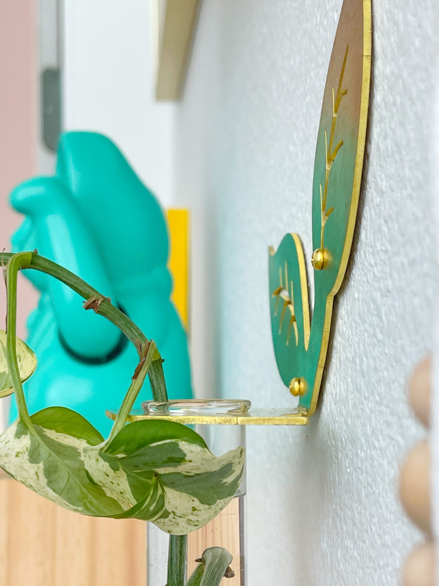 Plant Propagation Brass Leaf
