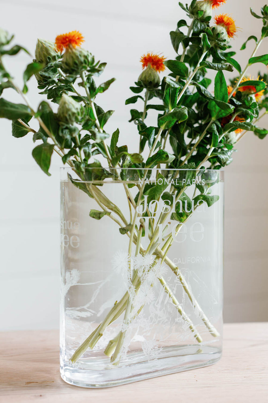 National Park Vase collection