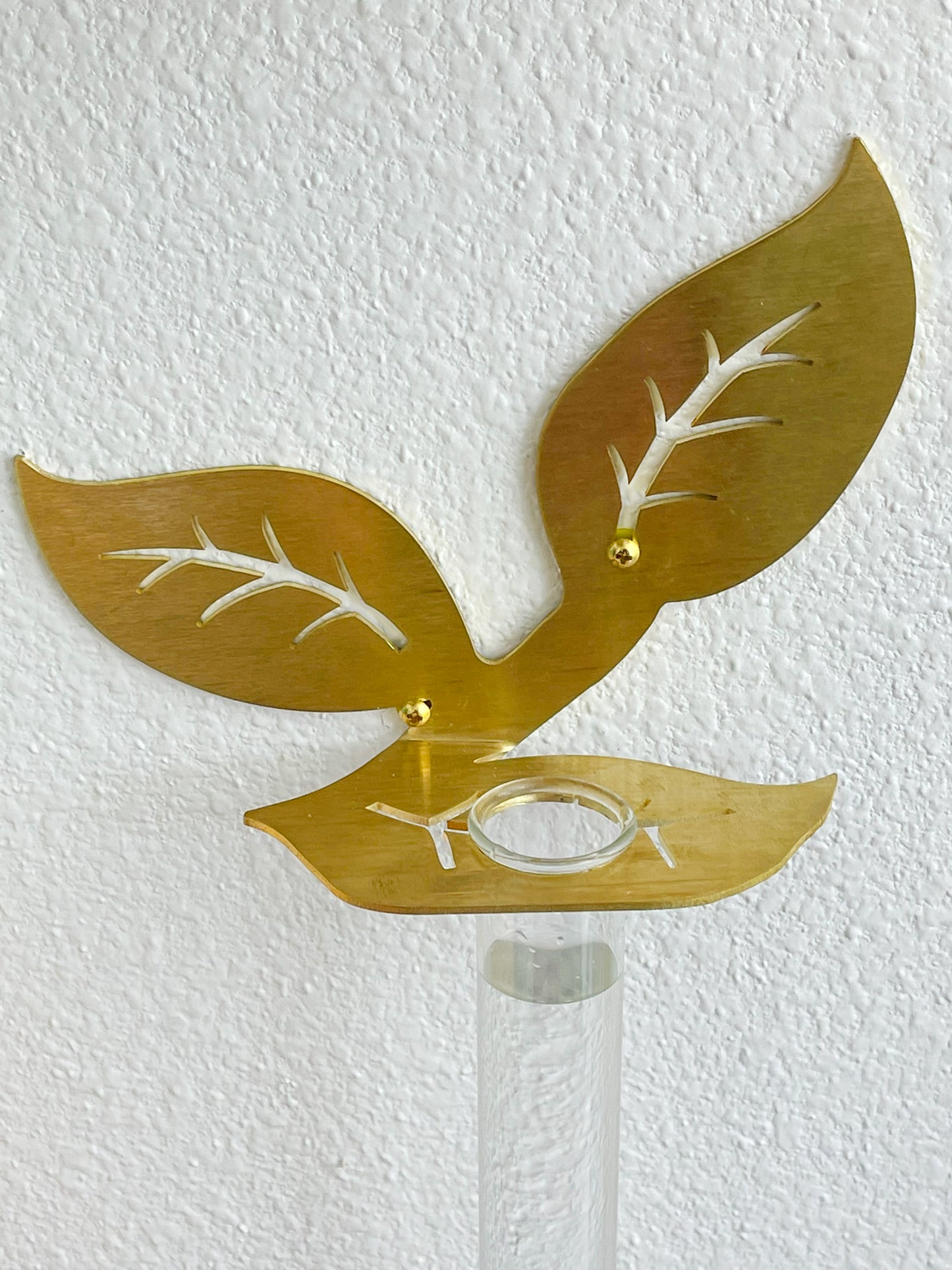 Plant Propagation Brass Leaf