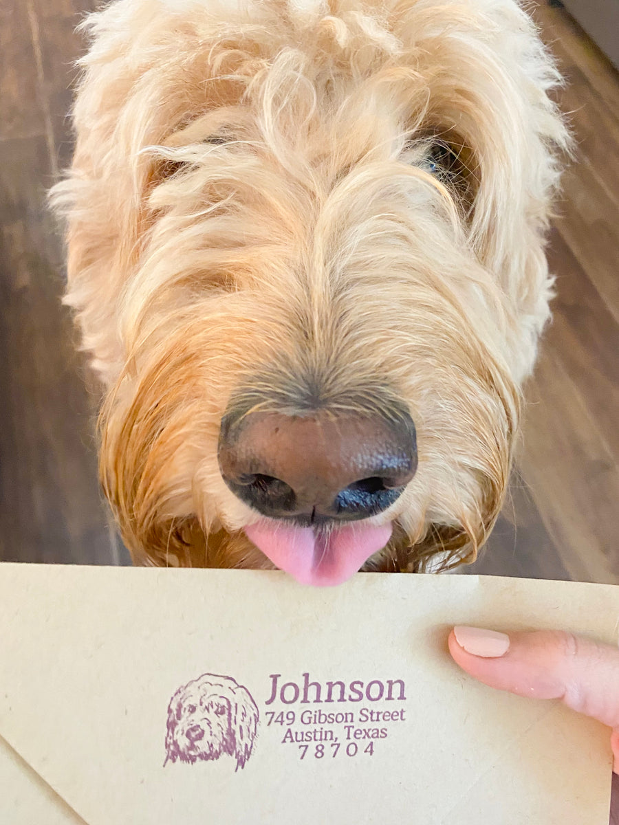 Goldendoodle Address
