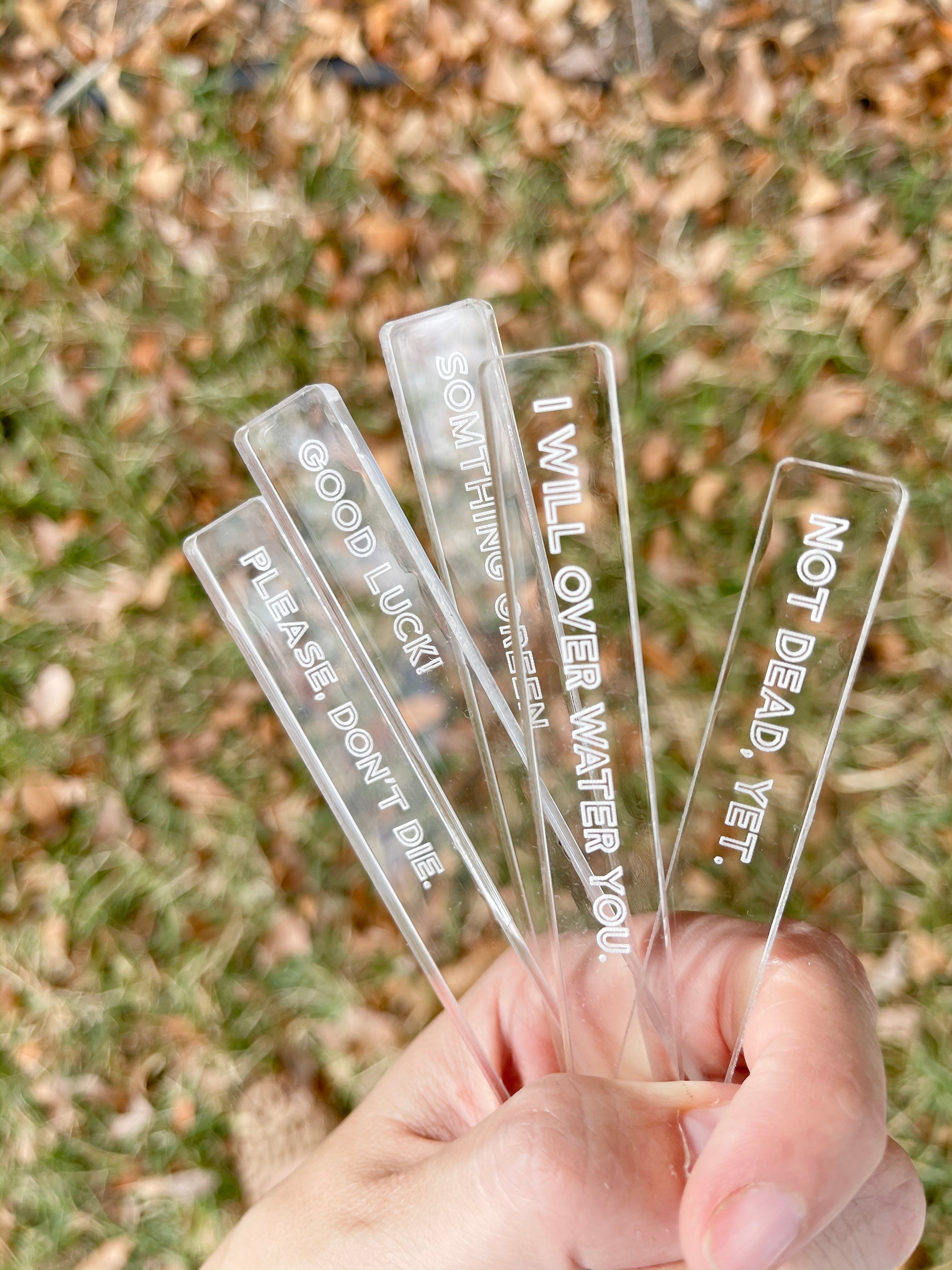 Plant Labels – Yellow Bess